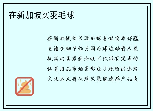 在新加坡买羽毛球